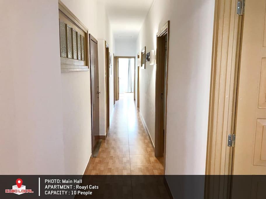 Royal Cats Apartment Порту Екстер'єр фото