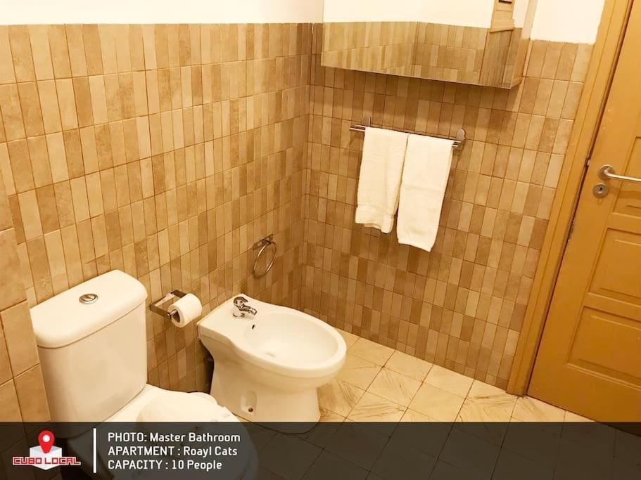 Royal Cats Apartment Порту Екстер'єр фото