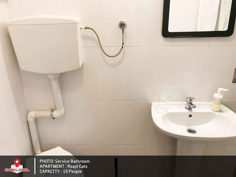 Royal Cats Apartment Порту Екстер'єр фото