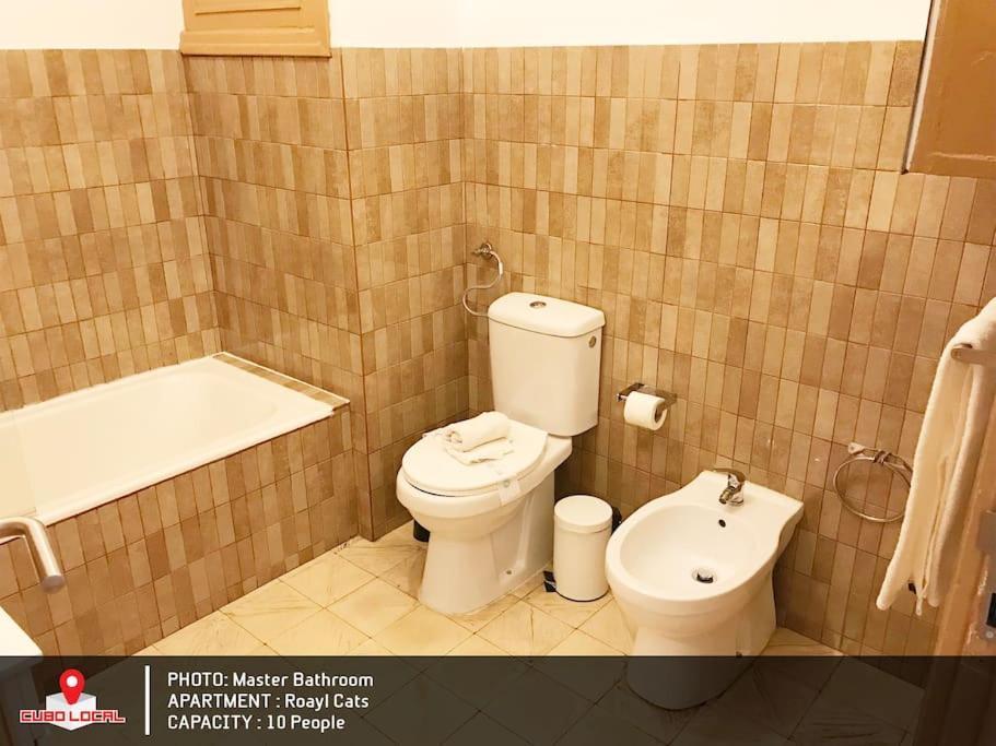Royal Cats Apartment Порту Екстер'єр фото